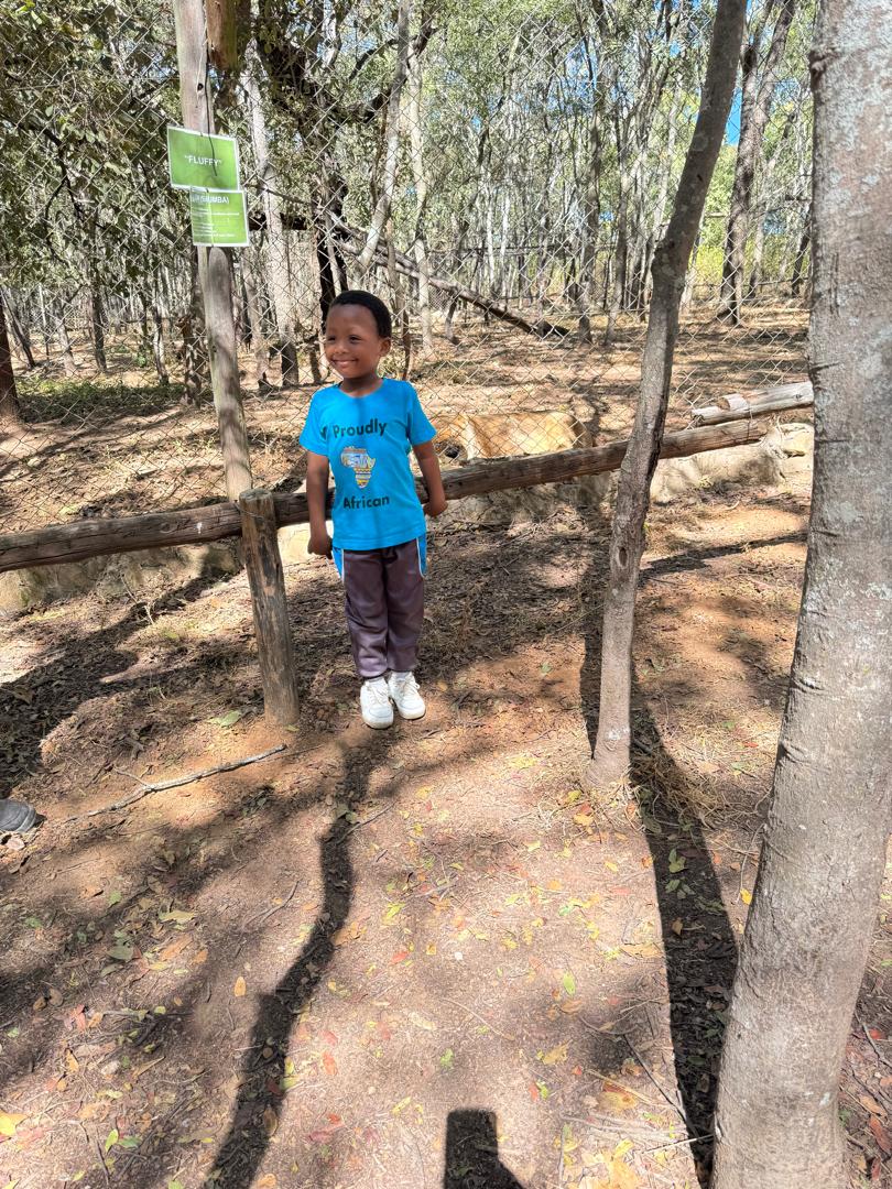 Harmony Junior School